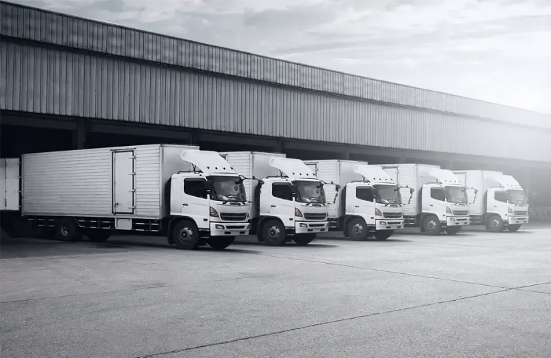 Ertaş  Logistics