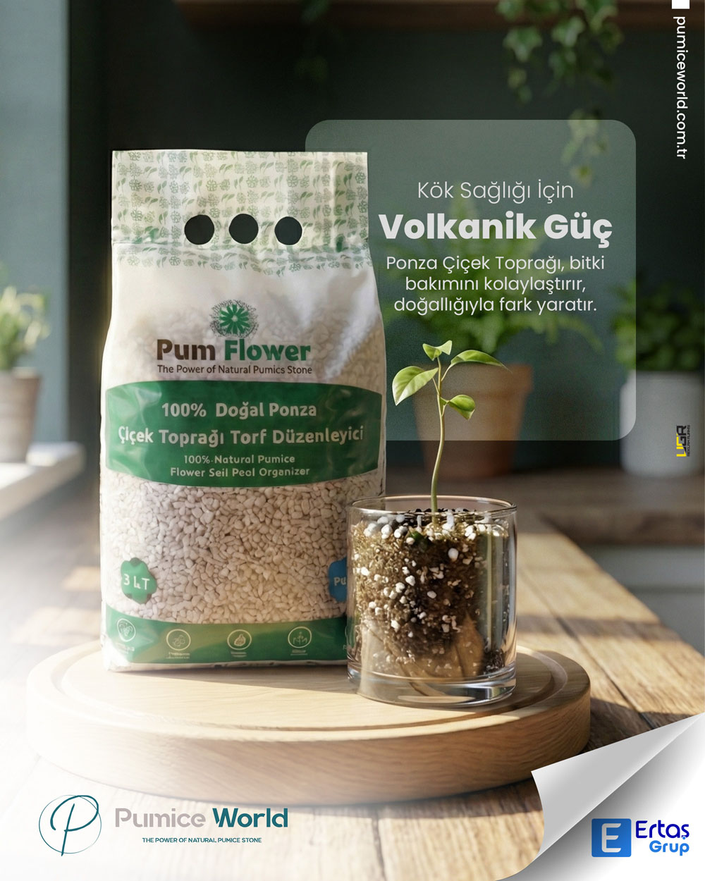A Sustainable Bridge from Nature to the Digital World: Pumice World