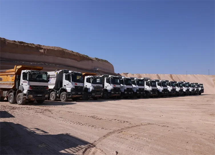 The Address of Power and Trust in Logistics: Ertaş Logistics